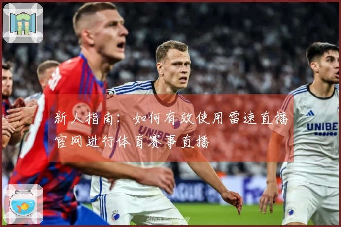 新人指南：如何有效使用雷速直播官网进行体育赛事直播