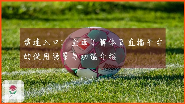 雷速入口：全面了解体育直播平台的使用场景与功能介绍